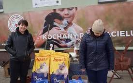 Schronisko w Pudwagach 2022 (02)