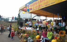 Gminne Dożynki 2015 (17)