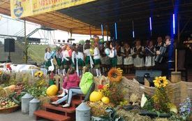 Gminne Dożynki 2015 (16)