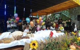 Gminne Dożynki 2015 (14)