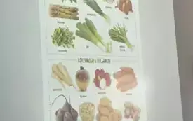 Zdrowe odżywianie (3)